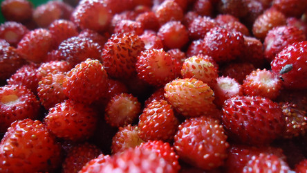 Similar image 753173