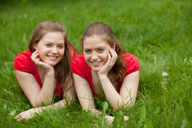 Similar image 753245