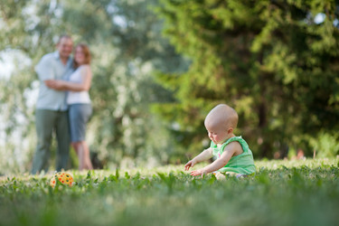 Similar image 753383