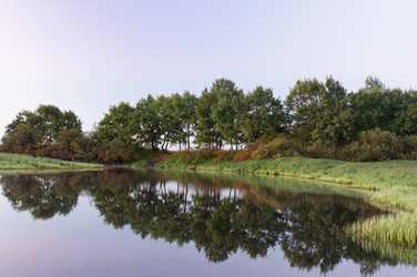 Similar image 753409