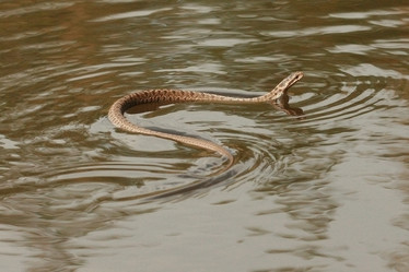 Similar image 753410