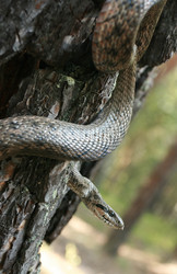 Similar image 753411