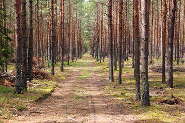 Similar image 753414