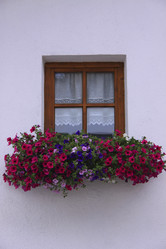 Similar image 753423