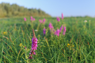 Similar image 753426