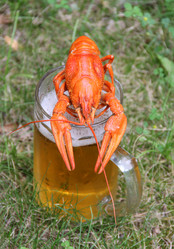 Similar image 753469