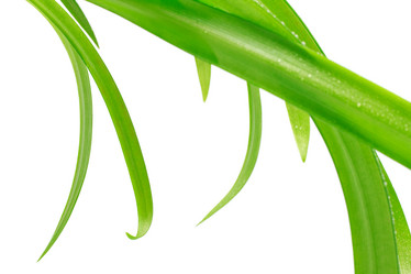 Similar image 753478