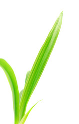 Similar image 753482