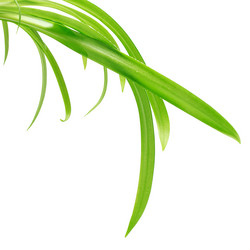 Similar image 753484