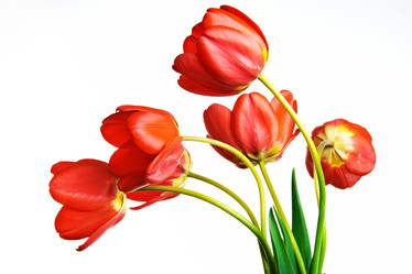 Similar image 753490