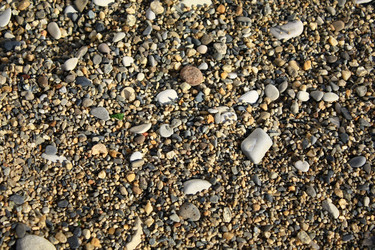 Similar image 753502