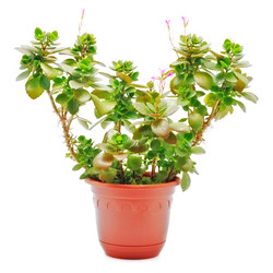 Similar image 753505