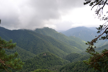 Similar image 753587