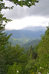 Similar image 753588