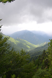 Similar image 753590