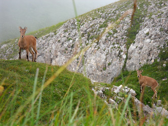 Similar image 753595