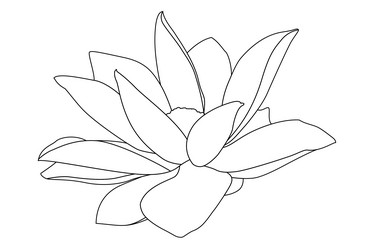 Similar image 753596