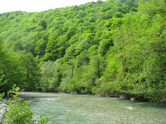 Similar image 753609