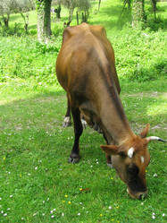 Similar image 753614