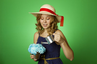 Similar image 753641