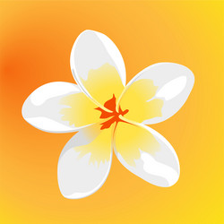 Similar image 753656