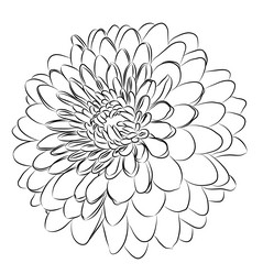 Similar image 753664