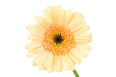 Similar image 753738