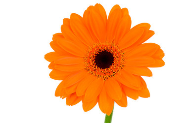 Similar image 753740