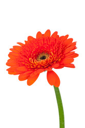 Similar image 753741