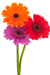 Similar image 753743