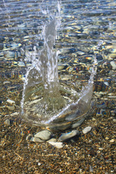 Similar image 753769