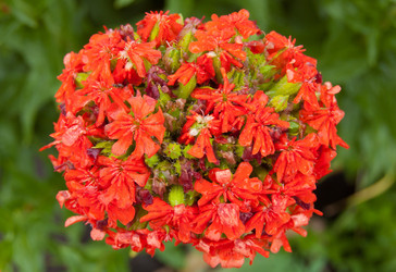 Similar image 753795