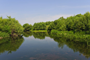 Similar image 753843