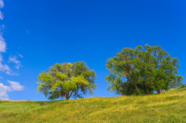 Similar image 753851