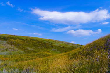 Similar image 753853