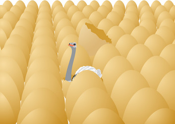 Similar image 753867