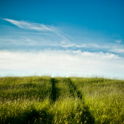 Similar image 753901