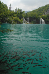 Similar image 753904