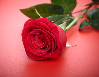 Similar image 753935