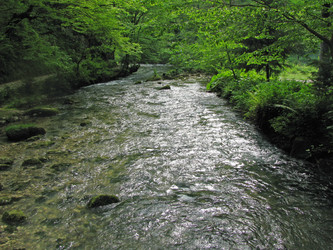 Similar image 754066