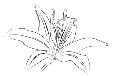 Similar image 754114