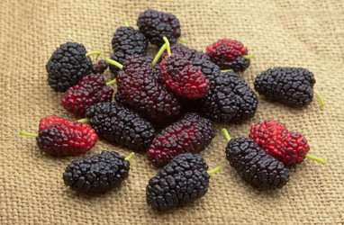 Similar image 754151