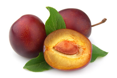 Similar image 754163