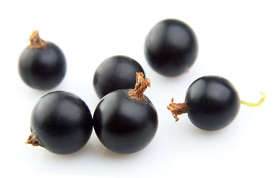 Similar image 754180