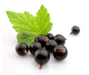 Similar image 754182