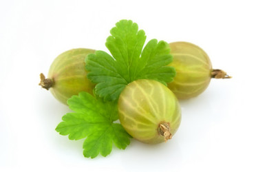 Similar image 754189