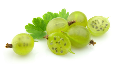 Similar image 754191