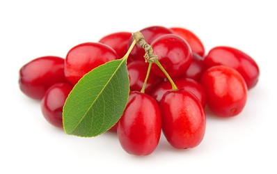 Similar image 754205