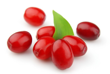 Similar image 754206