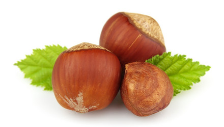 Similar image 754212